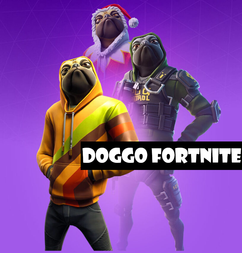 How To Get Doggo Skin In Fortnite? A Complete Guide About Doggo Fortnite