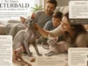Peterbald Cat Guide: Temperament, Coat Types, Care, Health, and Family Life Peterbald