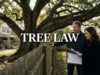 Tree Law in the U.S.: What You Need to Know About Property Lines, Overhanging Trees, Neighbor Disputes, Tree Damage, Removal Rules, and Legal Rights Tree Law